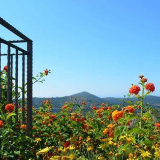 Residenza La Mannara Villa Itri Dış mekan fotoğraf